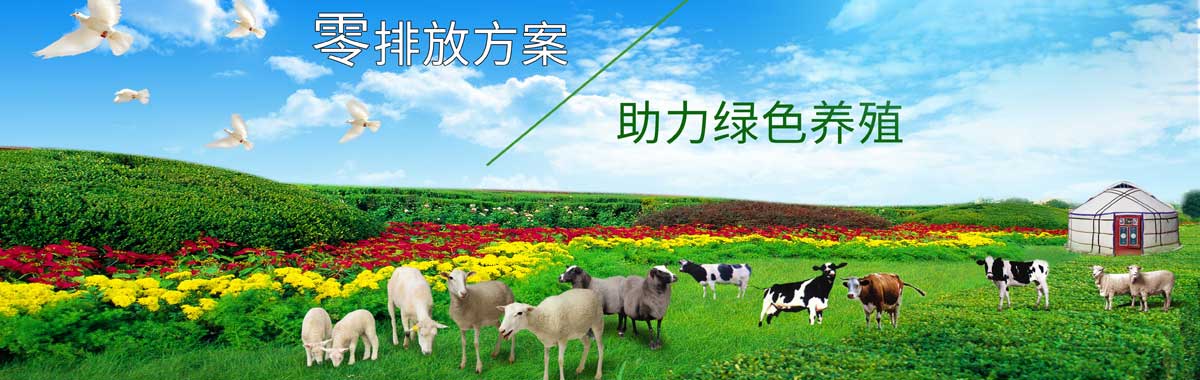 &#19975;&#35937;&#22478;&#45;&#19975;&#35937;&#22478;&#65288;&#20013;&#22269;&#65289;